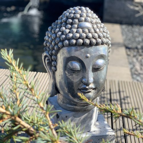 Buddha XL